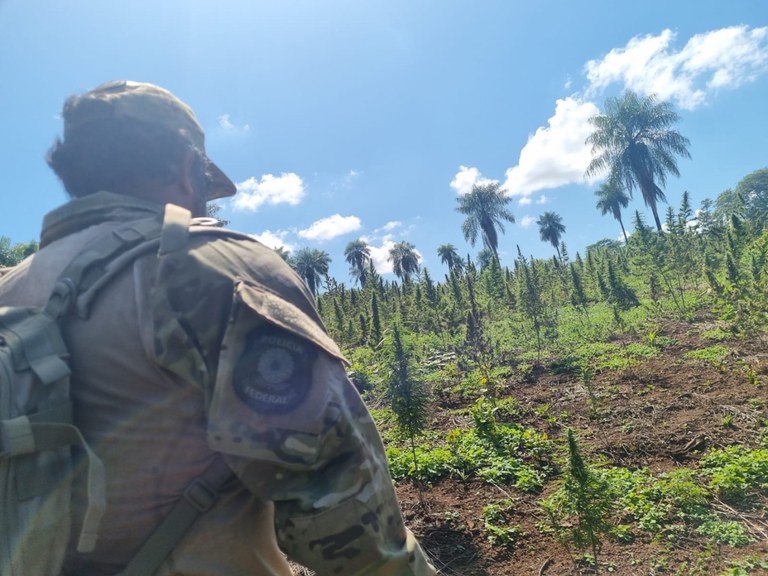 WhatsApp Image 2023-03-21 at 15.17.47.jpeg