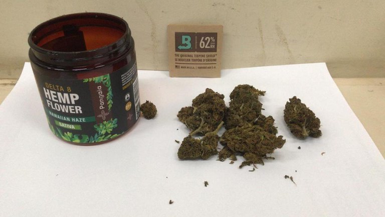 caf82818-746d-49ff-b10a-20f7804a2f66.jfif