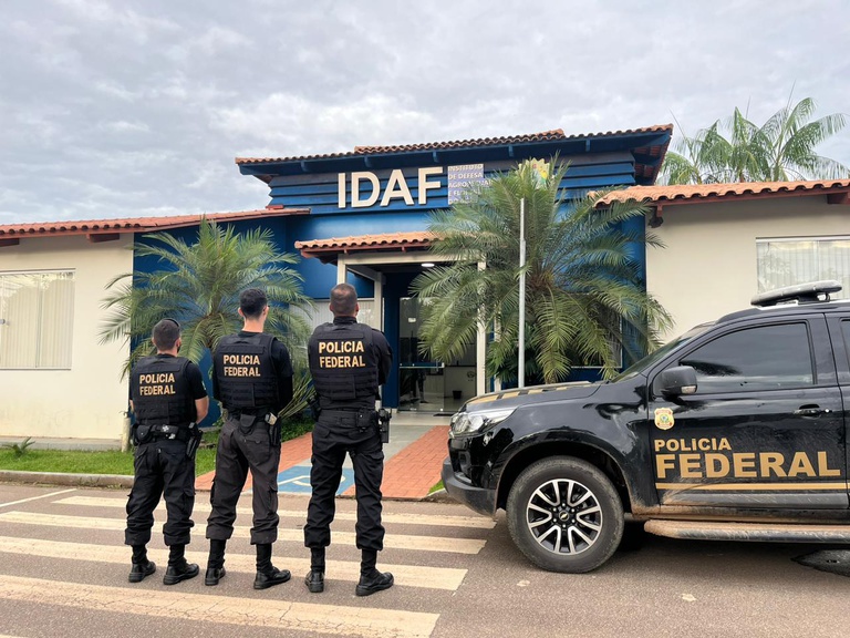 ddfc1084-a6d8-409b-aaed-ffa79a9b1726.jfif