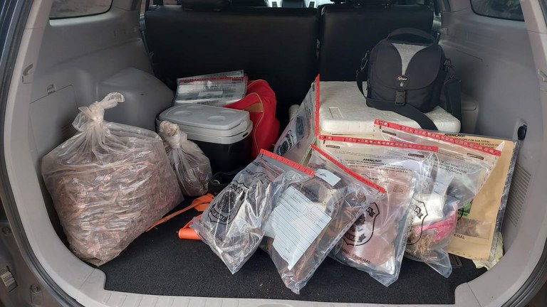 WhatsApp Image 2023-03-07 at 07.25.27.jpeg