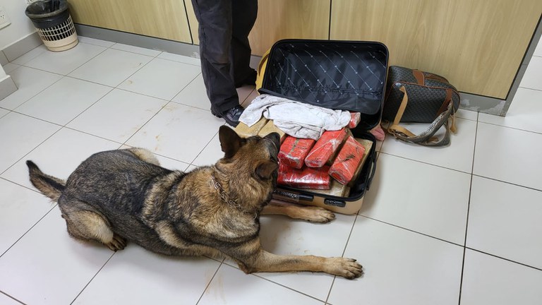 WhatsApp Image 2023-03-03 at 23.47.49.jpeg