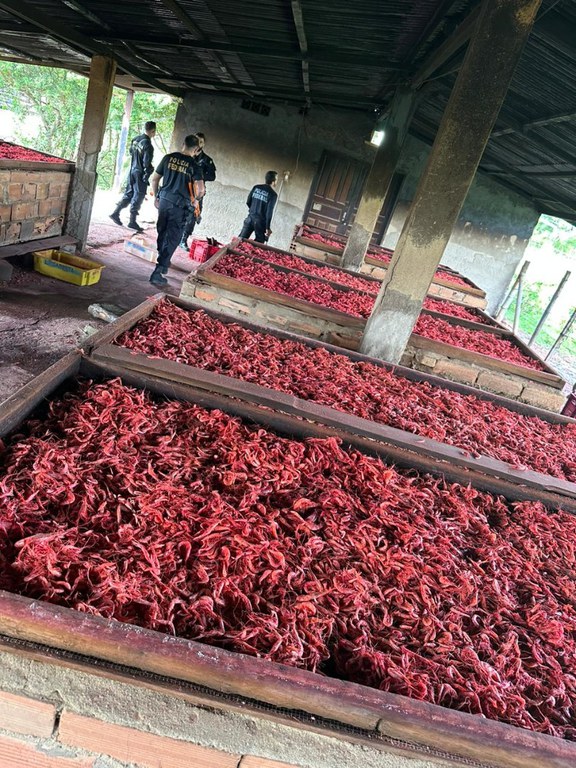 WhatsApp Image 2023-04-27 at 16.40.46 (2).jpeg