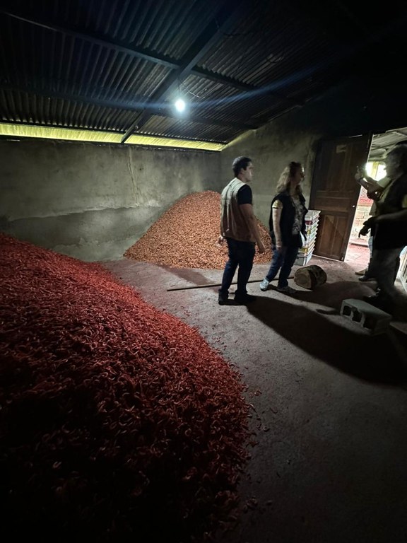 WhatsApp Image 2023-04-27 at 16.40.48.jpeg