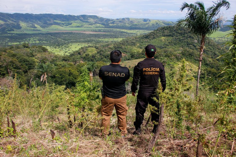 WhatsApp Image 2023-04-29 at 17.33.37.jpeg