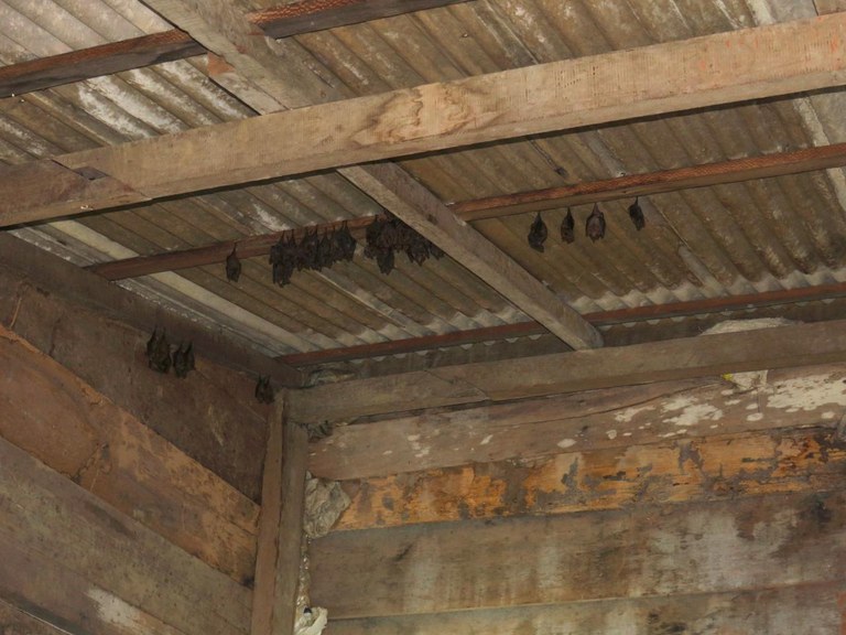 WhatsApp Image 2023-05-19 at 16.54.30 (1).jpeg