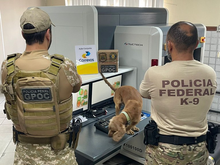 7f8b9228-df9e-4051-8544-992b11a69b96.jfif