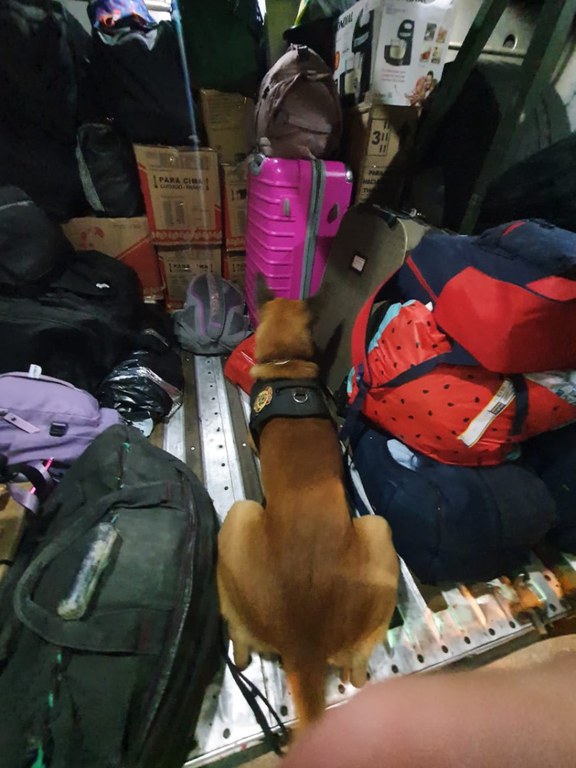 WhatsApp Image 2023-05-24 at 15.07.25.jpeg