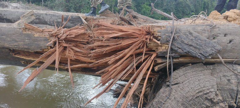 WhatsApp Image 2023-05-30 at 10.52.44 (2).jpeg