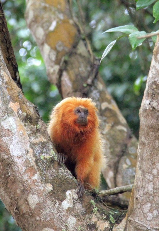 WhatsApp Image 2023-05-12 at 09.39.04.jpeg