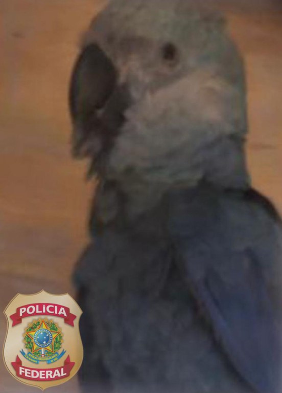 WhatsApp Image 2023-05-18 at 18.44.35.jpeg