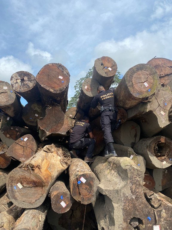 WhatsApp Image 2023-05-11 at 15.13.55.jpeg