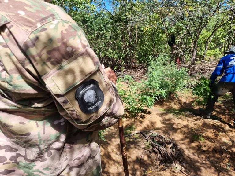 WhatsApp Image 2023-06-22 at 12.34.53.jpeg