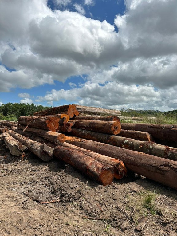 WhatsApp Image 2023-06-19 at 20.32.53.jpeg