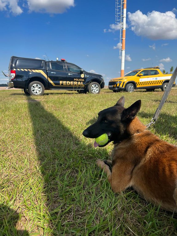 WhatsApp Image 2023-06-29 at 19.27.36.jpeg