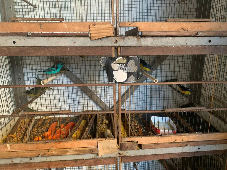 WhatsApp Image 2023-07-20 at 12.19.36.jpeg