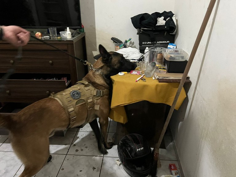 WhatsApp Image 2023-07-12 at 08.46.21 (2).jpeg