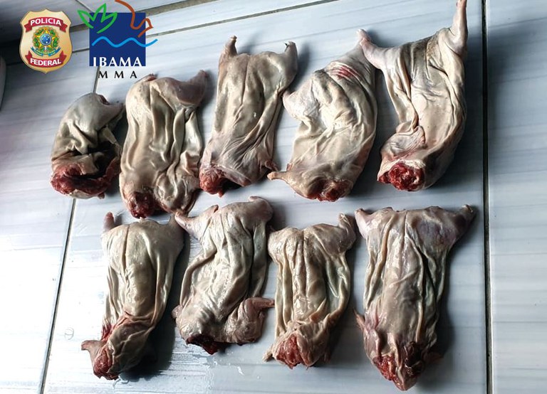 WhatsApp Image 2023-07-18 at 18.20.31.jpeg