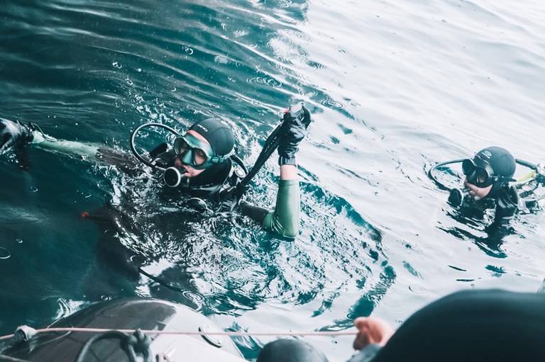 WhatsApp Image 2023-07-14 at 11.54.03.jpeg