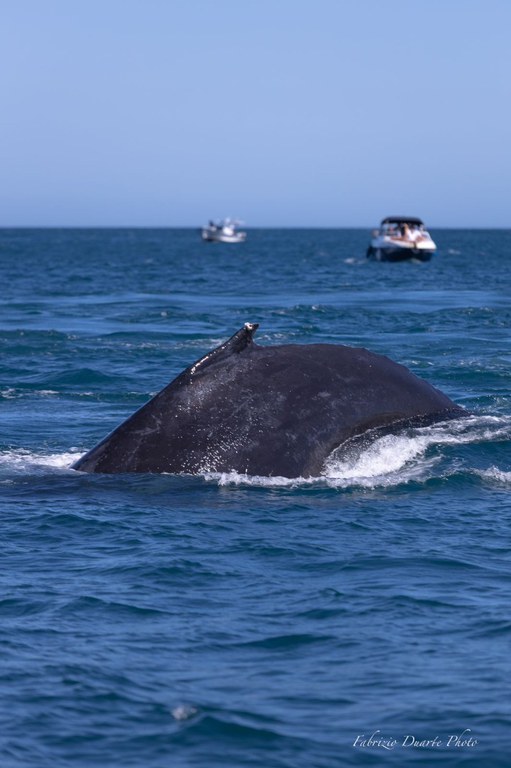 WhatsApp Image 2023-07-31 at 13.07.48.jpeg