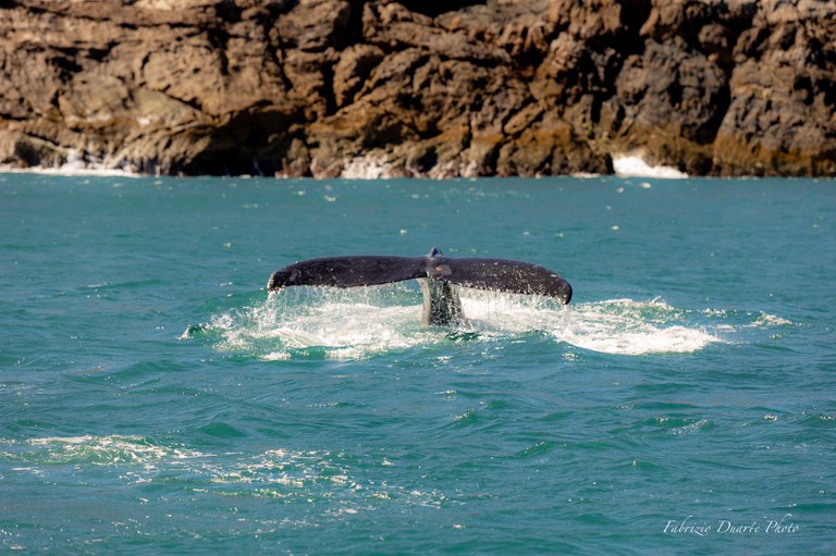 WhatsApp Image 2023-07-31 at 13.07.49.jpeg