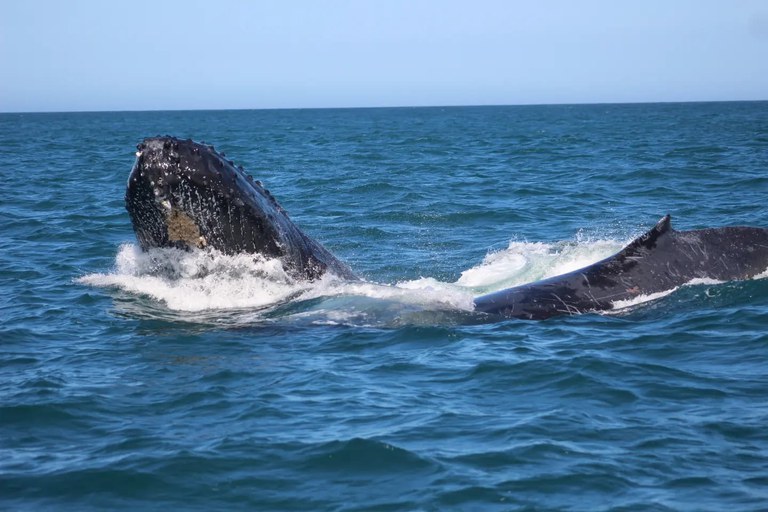 WhatsApp Image 2023-07-31 at 13.07.51.jpeg