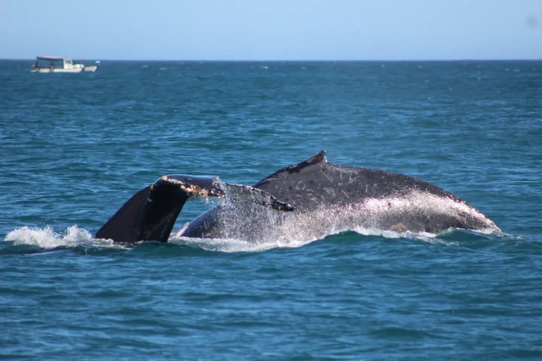 WhatsApp Image 2023-07-31 at 13.07.53.jpeg