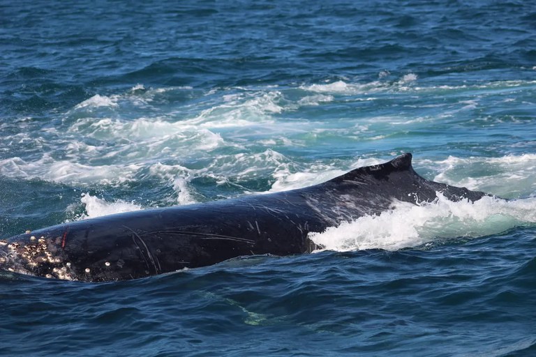 WhatsApp Image 2023-07-31 at 13.07.54.jpeg