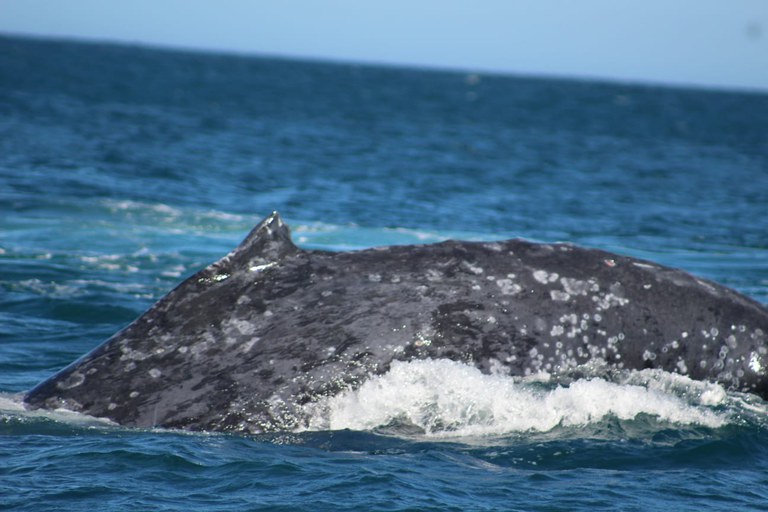 WhatsApp Image 2023-07-31 at 13.07.55.jpeg