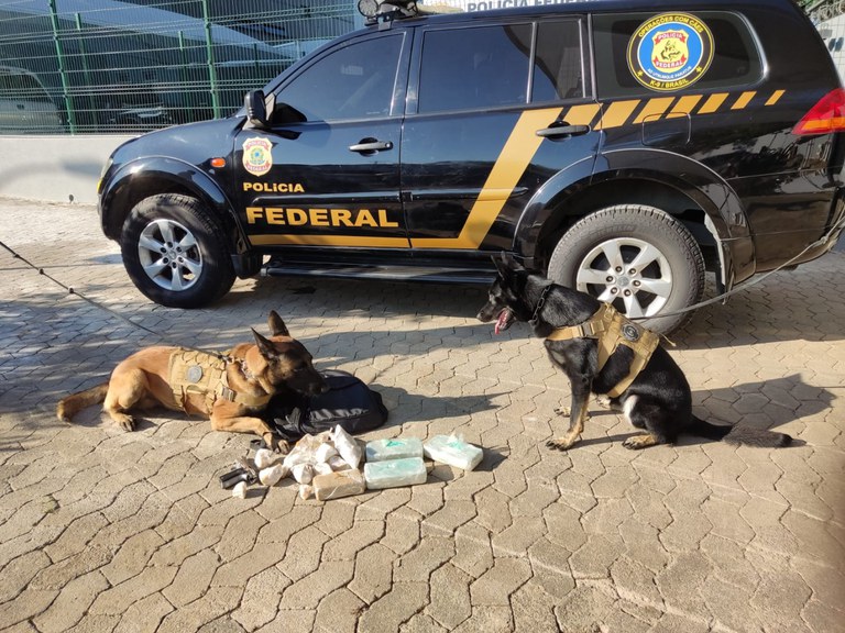 WhatsApp Image 2023-07-13 at 15.46.33.jpeg