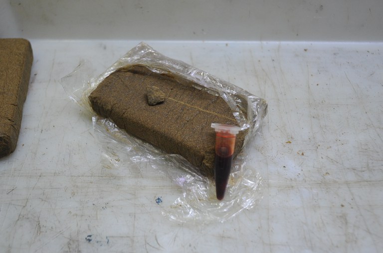 WhatsApp Image 2023-07-06 at 07.25.58.jpeg