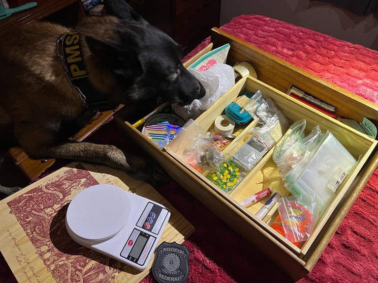 WhatsApp Image 2023-07-13 at 09.10.25.jpeg