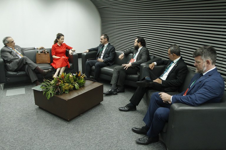 Cúpula da Amazônia - Oswaldo Forte136 (1).JPG