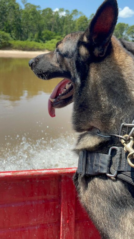 WhatsApp Image 2023-08-25 at 13.27.22.jpeg