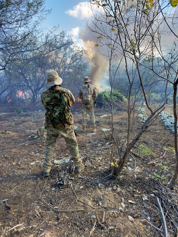 WhatsApp Image 2023-08-23 at 16.45.17.jpeg