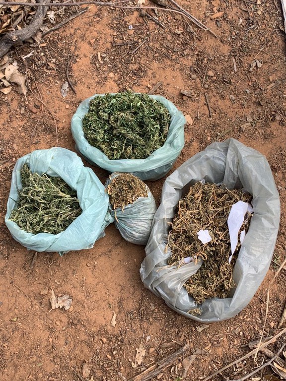 WhatsApp Image 2023-08-23 at 16.45.21.jpeg