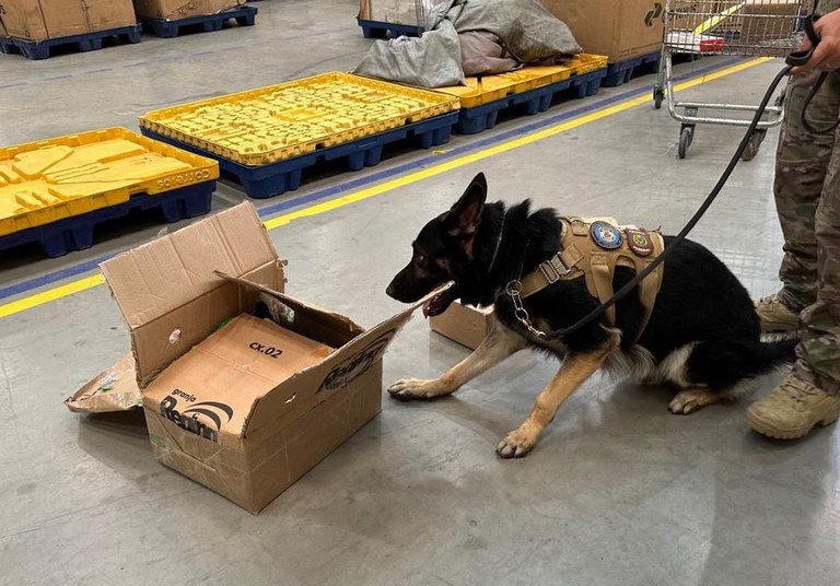 WhatsApp Image 2023-08-02 at 19.04.12.jpeg