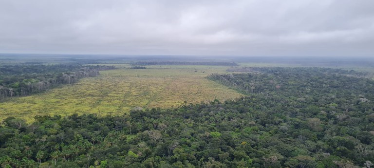 2fc8675e-1fd3-47bc-88e9-7456ff77ec99.jfif