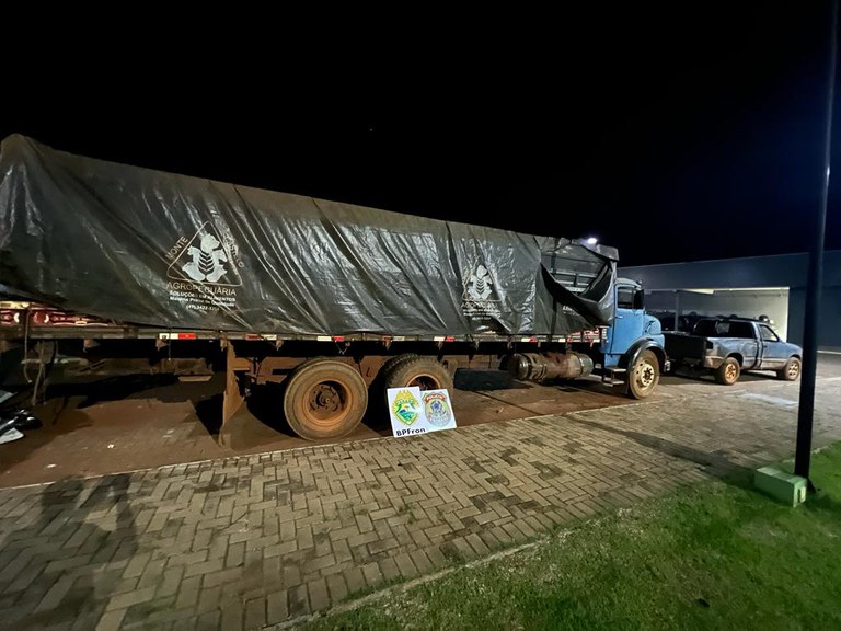 WhatsApp Image 2023-08-08 at 06.15.54.jpeg