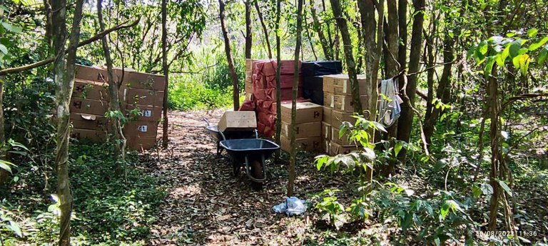 WhatsApp Image 2023-08-31 at 12.24.11.jpeg