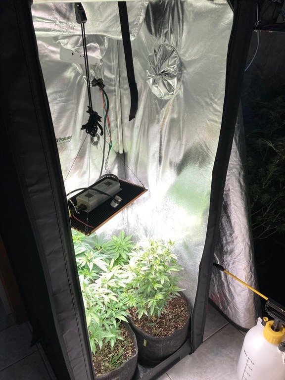 WhatsApp Image 2023-08-03 at 09.09.01 (1).jpeg