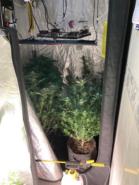 WhatsApp Image 2023-08-03 at 09.09.01.jpeg