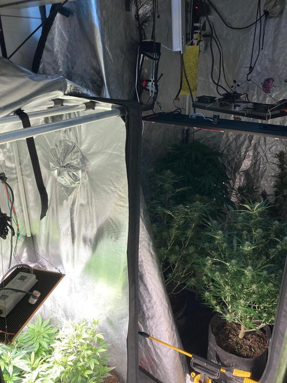 WhatsApp Image 2023-08-03 at 09.09.02.jpeg