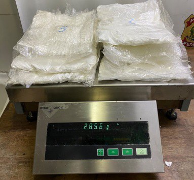 abdómen e coxas.jpg