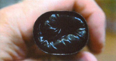 hastes puxad África so Sul 1.jpg