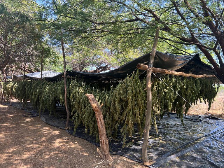 8ae3ceb3-54b6-4f4c-a26b-2a3b9713eda2.jfif