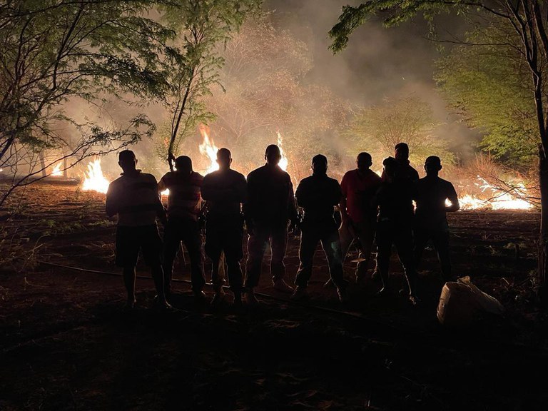 a4b9300a-f9b2-4bc3-be71-c792d892cabe.jfif