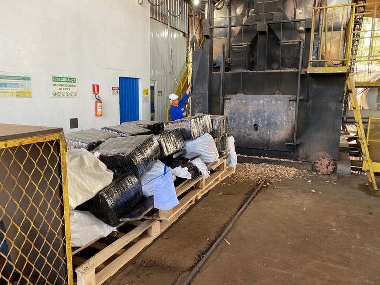 d0a15101-87f2-42ad-8f1f-c56db80e655e.jfif