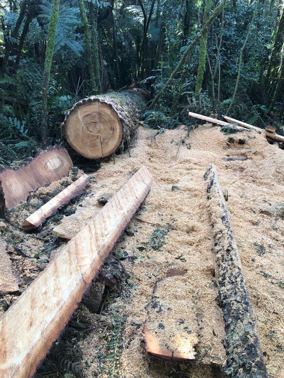 WhatsApp Image 2023-08-29 at 12.56.24 (1).jpeg