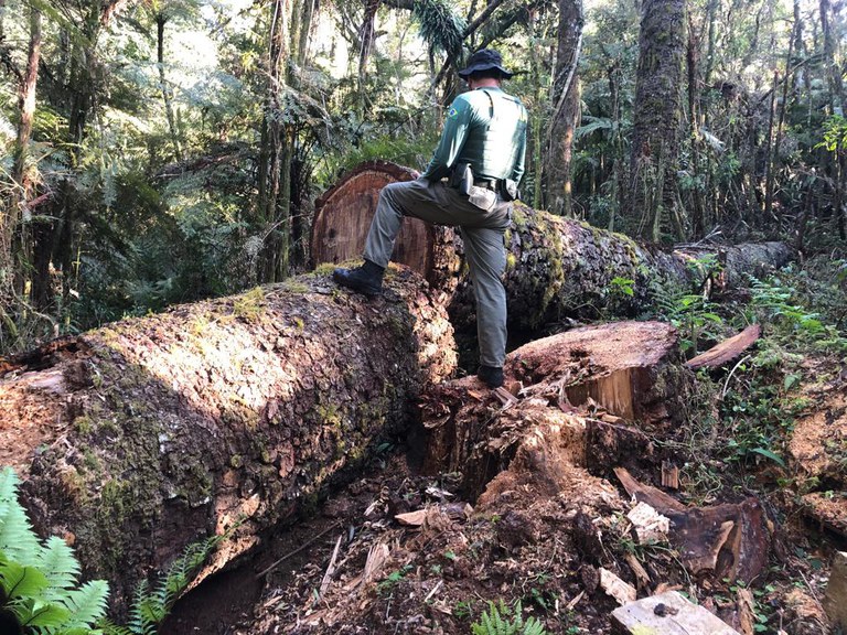 WhatsApp Image 2023-08-29 at 12.56.24 (2).jpeg