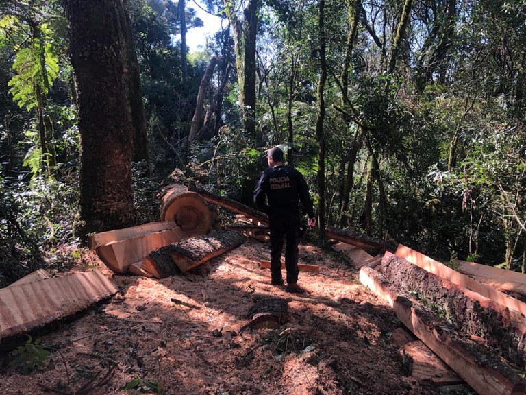 WhatsApp Image 2023-08-29 at 12.56.24.jpeg